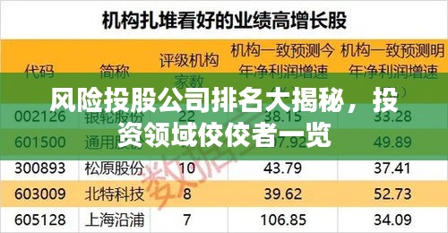 風(fēng)險投股公司排名大揭秘，投資領(lǐng)域佼佼者一覽