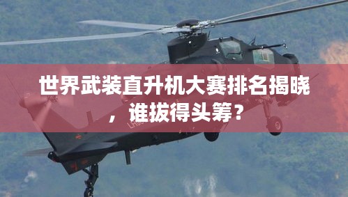 世界武裝直升機大賽排名揭曉，誰拔得頭籌？