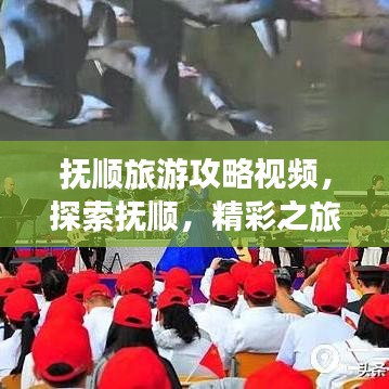 撫順旅游攻略視頻，探索撫順，精彩之旅不容錯(cuò)過