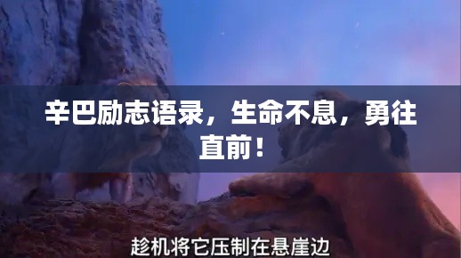 辛巴勵(lì)志語(yǔ)錄，生命不息，勇往直前！