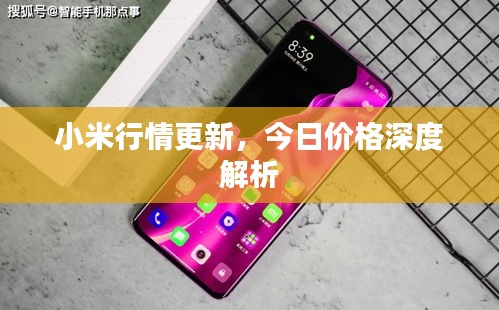 小米行情更新，今日價格深度解析