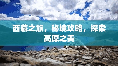 鳥窮則啄 第3頁