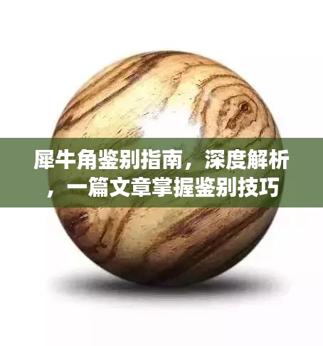 犀牛角鑒別指南，深度解析，一篇文章掌握鑒別技巧