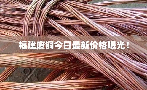福建廢銅今日最新價(jià)格曝光！