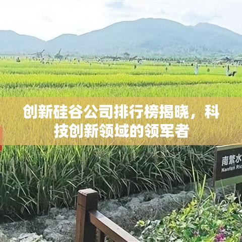 創(chuàng)新硅谷公司排行榜揭曉，科技創(chuàng)新領(lǐng)域的領(lǐng)軍者