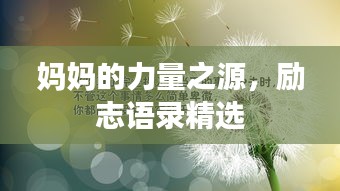 媽媽的力量之源，勵(lì)志語(yǔ)錄精選