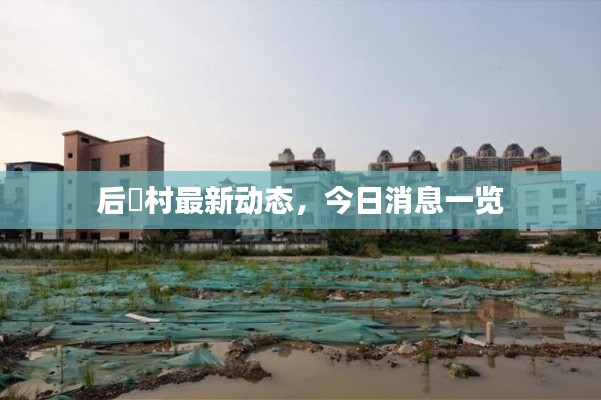 后滘村最新動態(tài)，今日消息一覽
