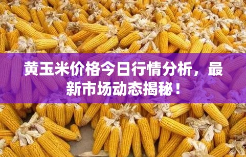如花似玉 第3頁