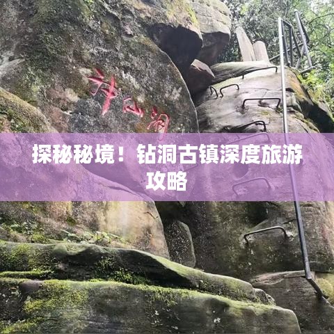 水浄鵝飛 第3頁(yè)