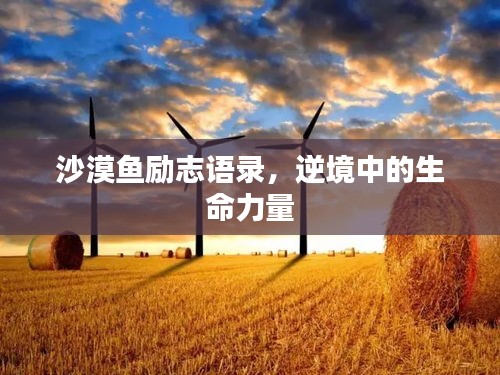 沙漠魚勵(lì)志語錄，逆境中的生命力量