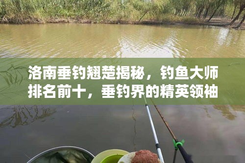 洛南垂釣翹楚揭秘，釣魚大師排名前十，垂釣界的精英領袖！
