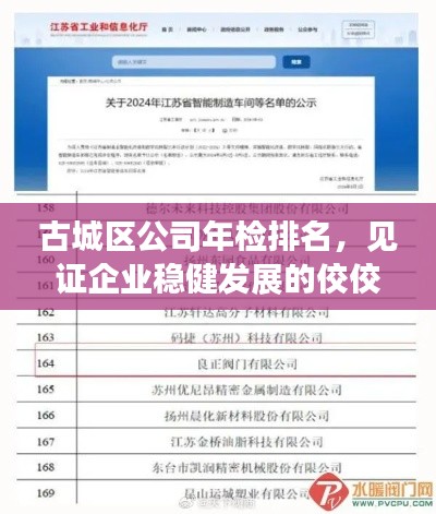 古城區(qū)公司年檢排名，見證企業(yè)穩(wěn)健發(fā)展的佼佼者