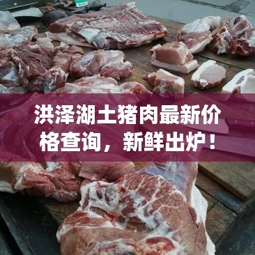 洪澤湖土豬肉最新價格查詢，新鮮出爐！