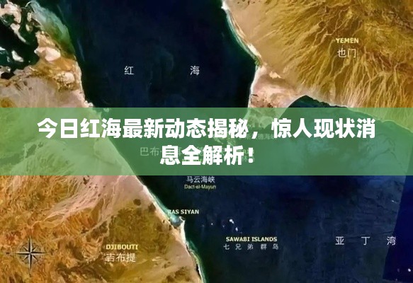 今日紅海最新動(dòng)態(tài)揭秘，驚人現(xiàn)狀消息全解析！