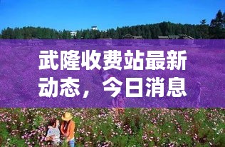 武隆收費(fèi)站最新動(dòng)態(tài)，今日消息全解析
