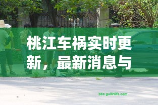 桃江車(chē)禍實(shí)時(shí)更新，最新消息與現(xiàn)場(chǎng)情況揭秘
