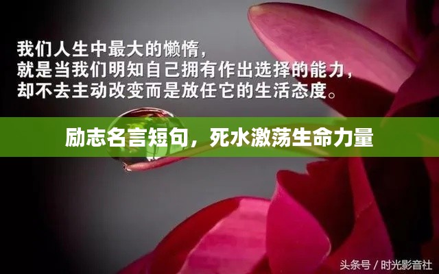 勵(lì)志名言短句，死水激蕩生命力量