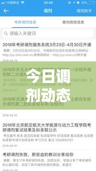 今日調(diào)劑動態(tài)速遞，最新消息全面解析