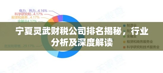 寧夏靈武財稅公司排名揭秘，行業(yè)分析及深度解讀
