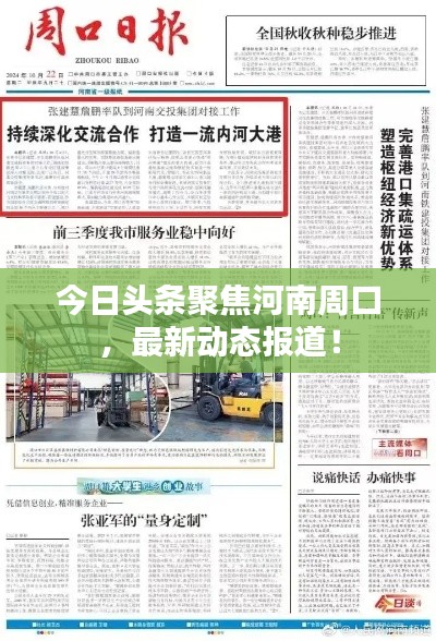 今日頭條聚焦河南周口，最新動態(tài)報道！
