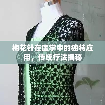 梅花針在醫(yī)學(xué)中的獨(dú)特應(yīng)用，傳統(tǒng)療法揭秘