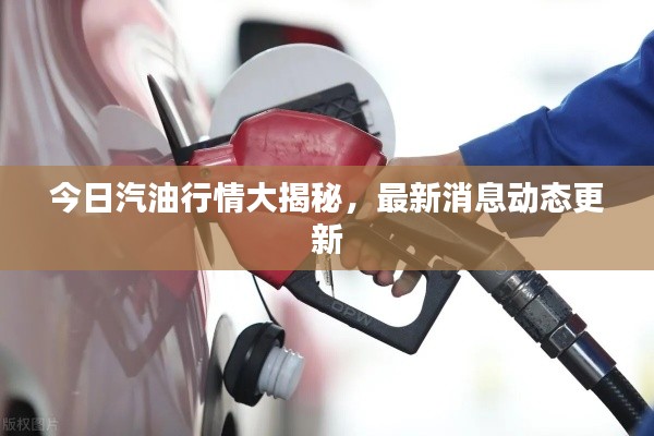 今日汽油行情大揭秘，最新消息動態(tài)更新
