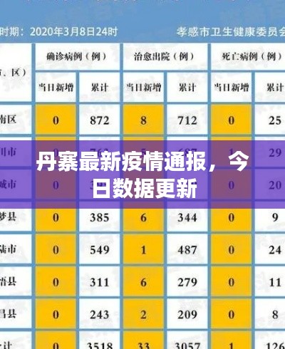 丹寨最新疫情通報，今日數(shù)據(jù)更新