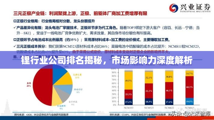 鋰行業(yè)公司排名揭秘，市場影響力深度解析
