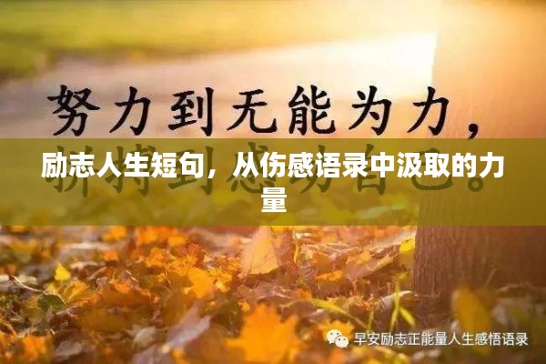 勵(lì)志人生短句，從傷感語錄中汲取的力量