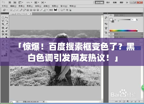 「驚爆！百度搜索框變色了？黑白色調(diào)引發(fā)網(wǎng)友熱議！」