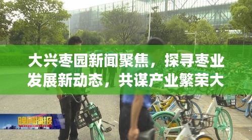 大興棗園新聞聚焦，探尋棗業(yè)發(fā)展新動態(tài)，共謀產業(yè)繁榮大計