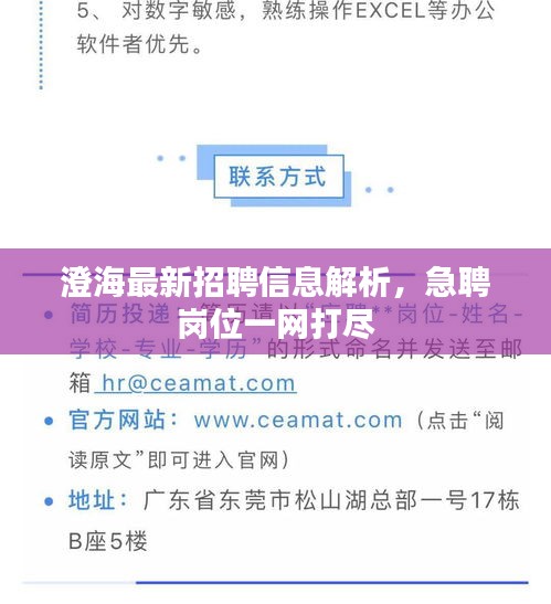 澄海最新招聘信息解析，急聘崗位一網(wǎng)打盡