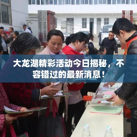 大龍湖精彩活動今日揭秘，不容錯過的最新消息！