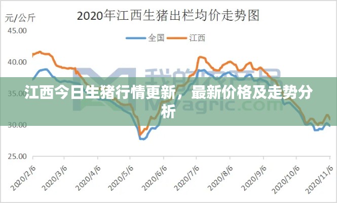 江西今日生豬行情更新，最新價格及走勢分析
