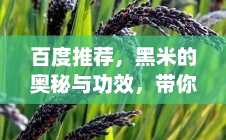 不畏權(quán)貴 第3頁(yè)