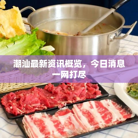 潮汕最新資訊概覽，今日消息一網(wǎng)打盡
