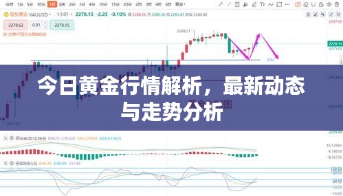 今日黃金行情解析，最新動(dòng)態(tài)與走勢(shì)分析