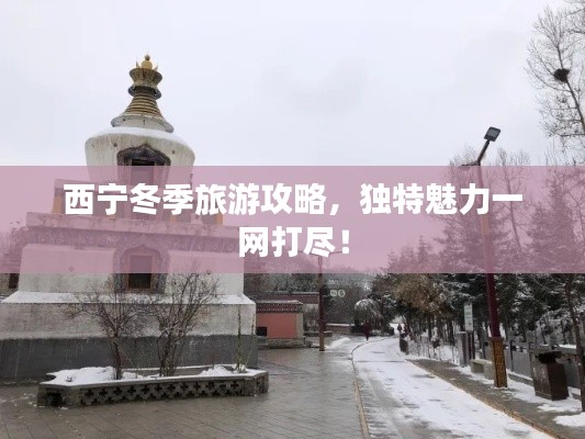 西寧冬季旅游攻略，獨(dú)特魅力一網(wǎng)打盡！