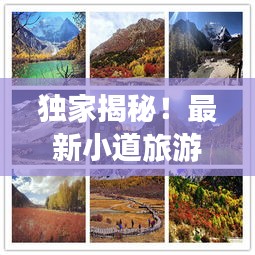 獨(dú)家揭秘！最新小道旅游攻略大全，帶你暢游未知美景