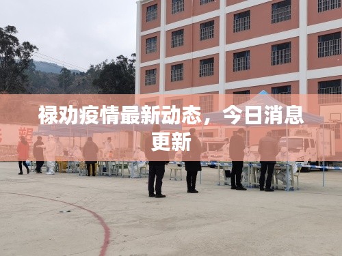 祿勸疫情最新動(dòng)態(tài)，今日消息更新