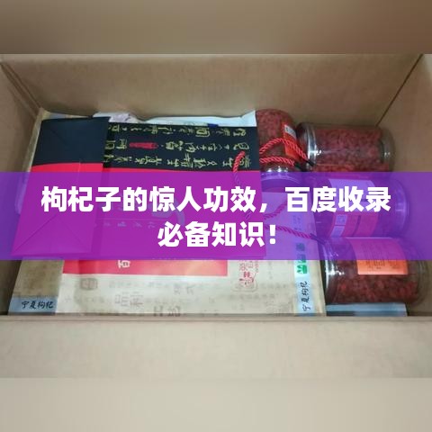 枸杞子的驚人功效，百度收錄必備知識(shí)！