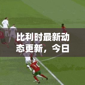 比利時最新動態(tài)更新，今日狀況揭秘！