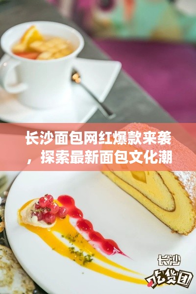 長沙面包網(wǎng)紅爆款來襲，探索最新面包文化潮流