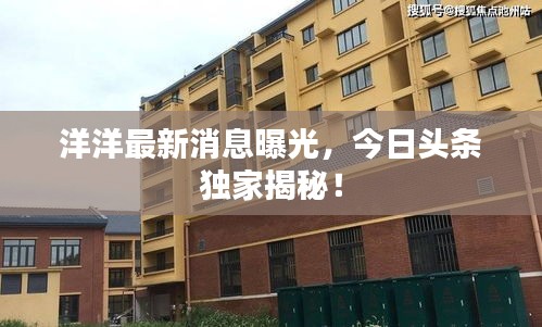 洋洋最新消息曝光，今日頭條獨(dú)家揭秘！