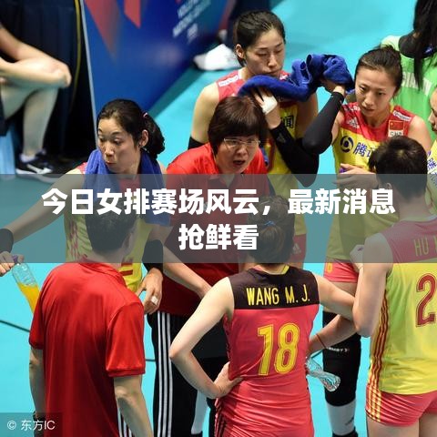 今日女排賽場風(fēng)云，最新消息搶鮮看