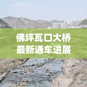 佛坪瓦口大橋最新通車進(jìn)展，交通新里程碑誕生！