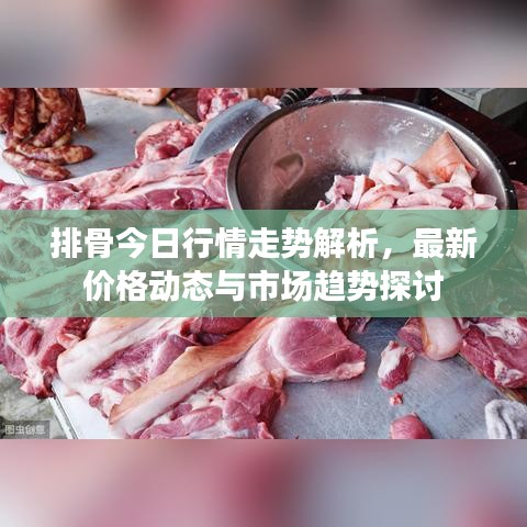 排骨今日行情走勢(shì)解析，最新價(jià)格動(dòng)態(tài)與市場(chǎng)趨勢(shì)探討