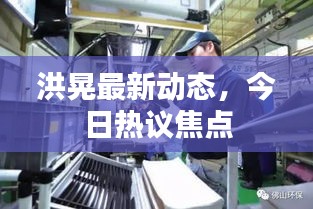 洪晃最新動態(tài)，今日熱議焦點