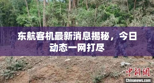 東航客機最新消息揭秘，今日動態(tài)一網打盡