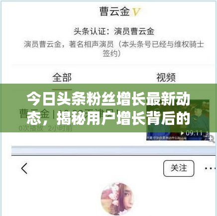 今日頭條粉絲增長最新動態(tài)，揭秘用戶增長背后的秘密！